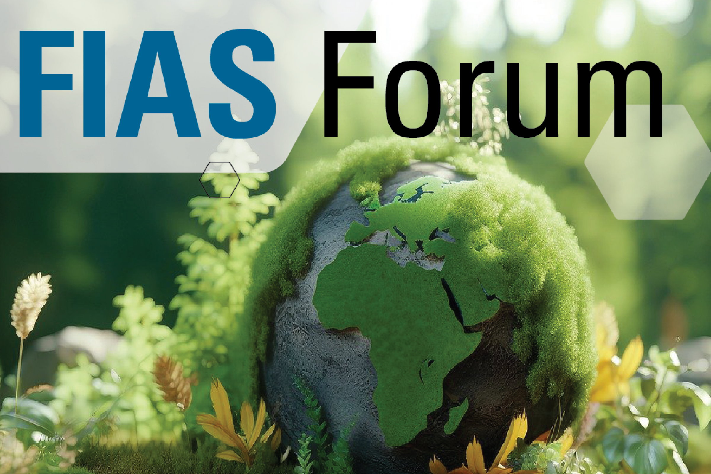 FIAS Forum Mosbrugger 