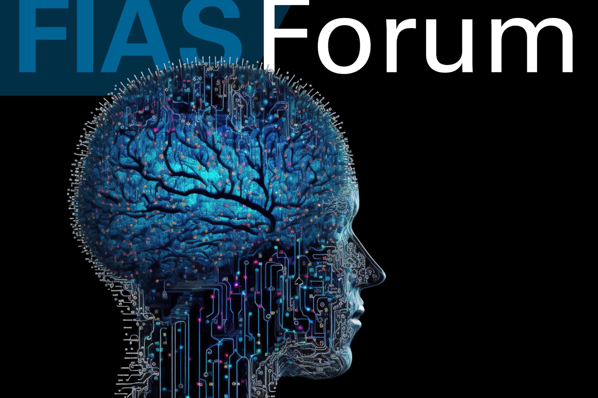 Forum Teaser Triesch