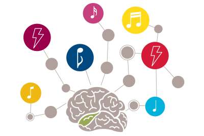 Mäuse Kaschube Publikation Generalisierung auditiver Kortex