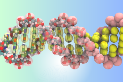 Martini Forcefield DNA