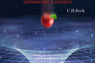 Cover: Die unwiderstehliche Anziehung der Schwerkraft