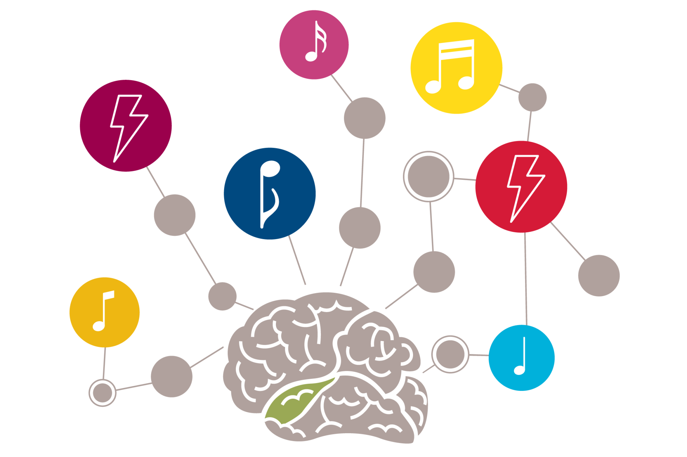 Mäuse Kaschube Publikation Generalisierung auditiver Kortex