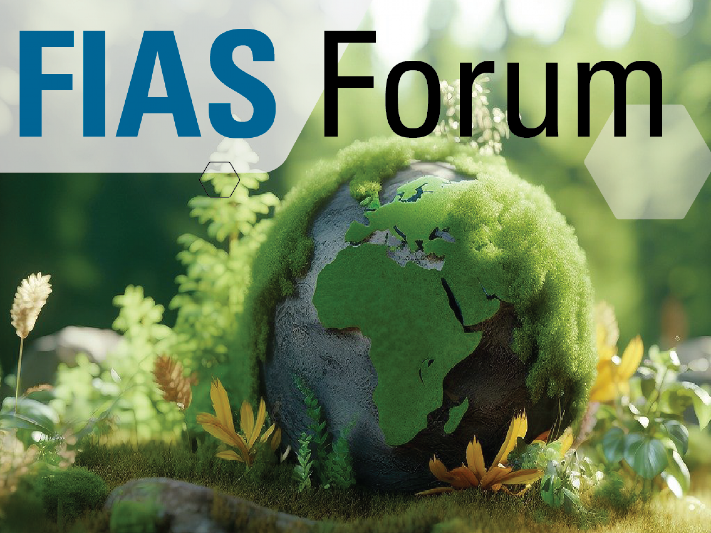 FIAS Forum Mosbrugger 