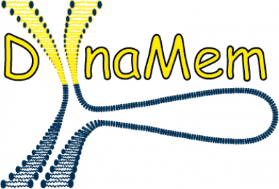 DynaMem Logo