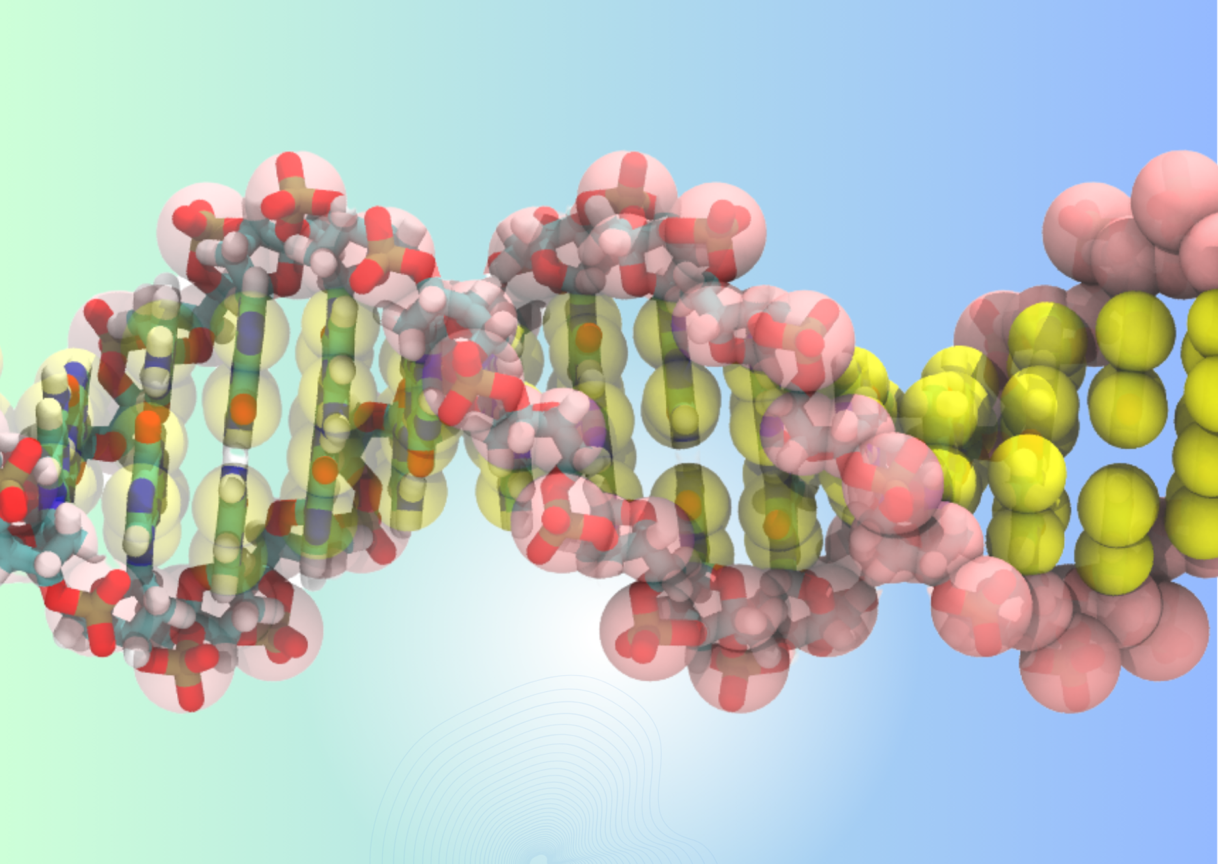 Martini Kraftfeld DNA