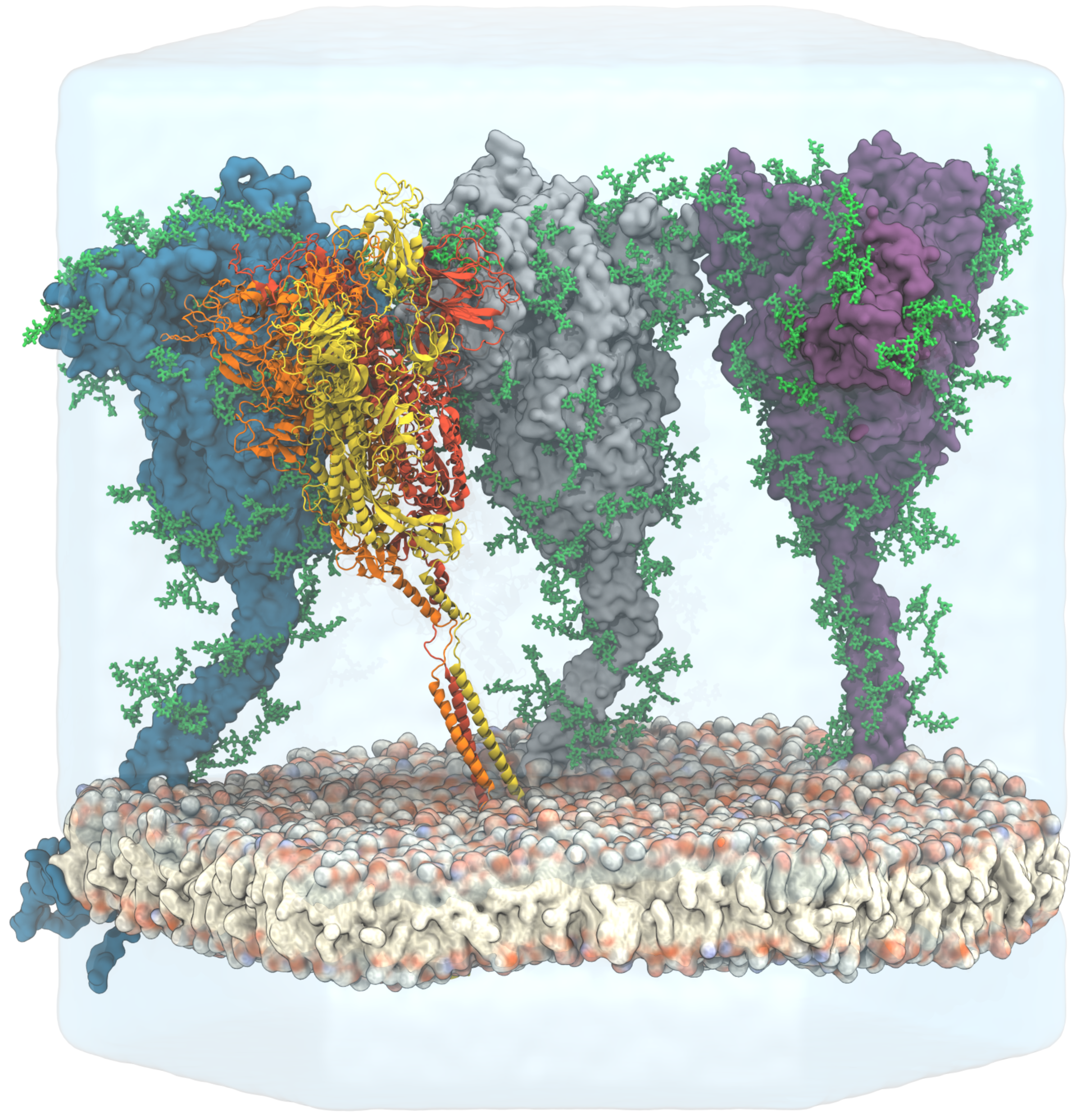 Covino Protein Spikes 