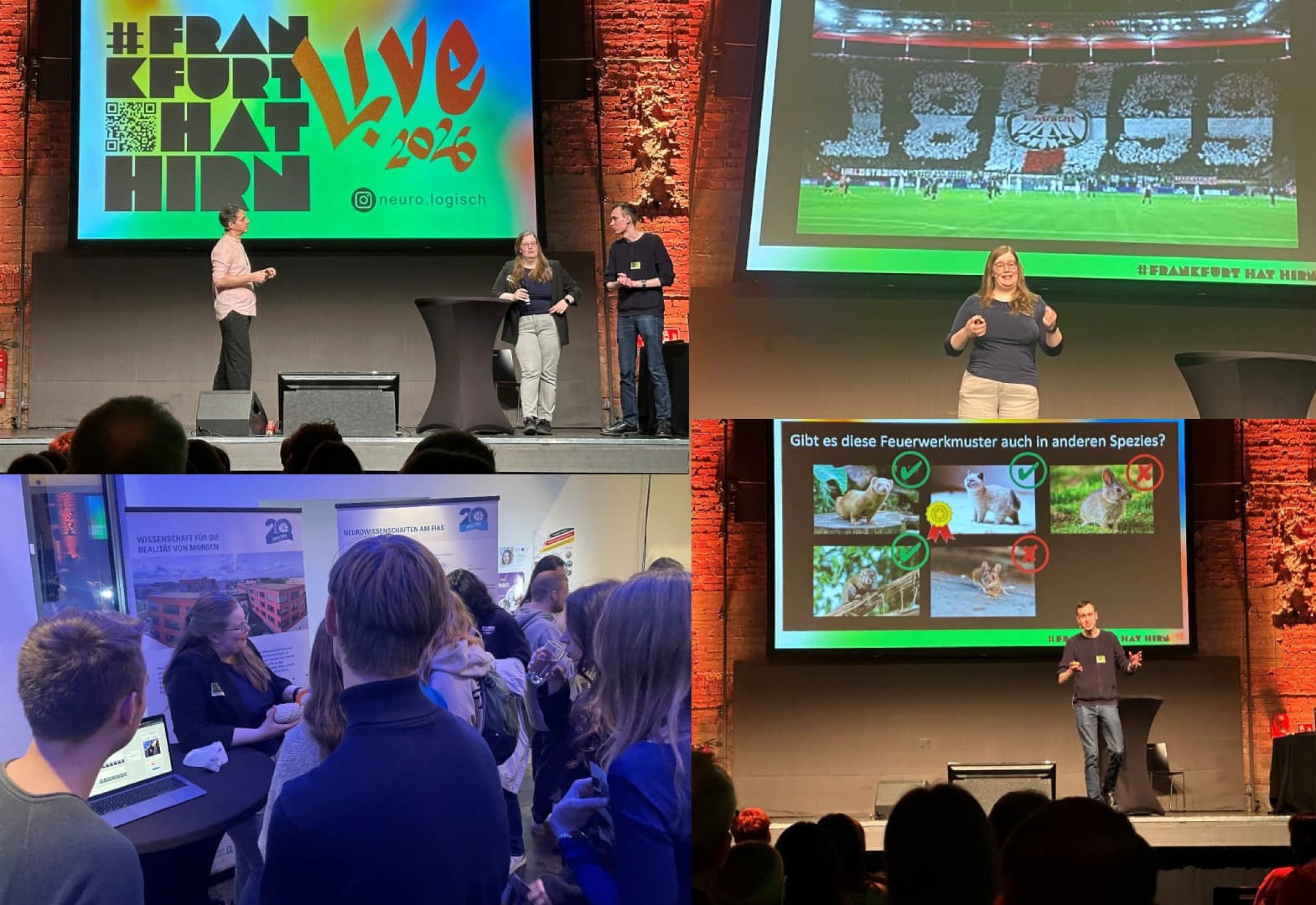 Frankfurt hat Hirn 2026