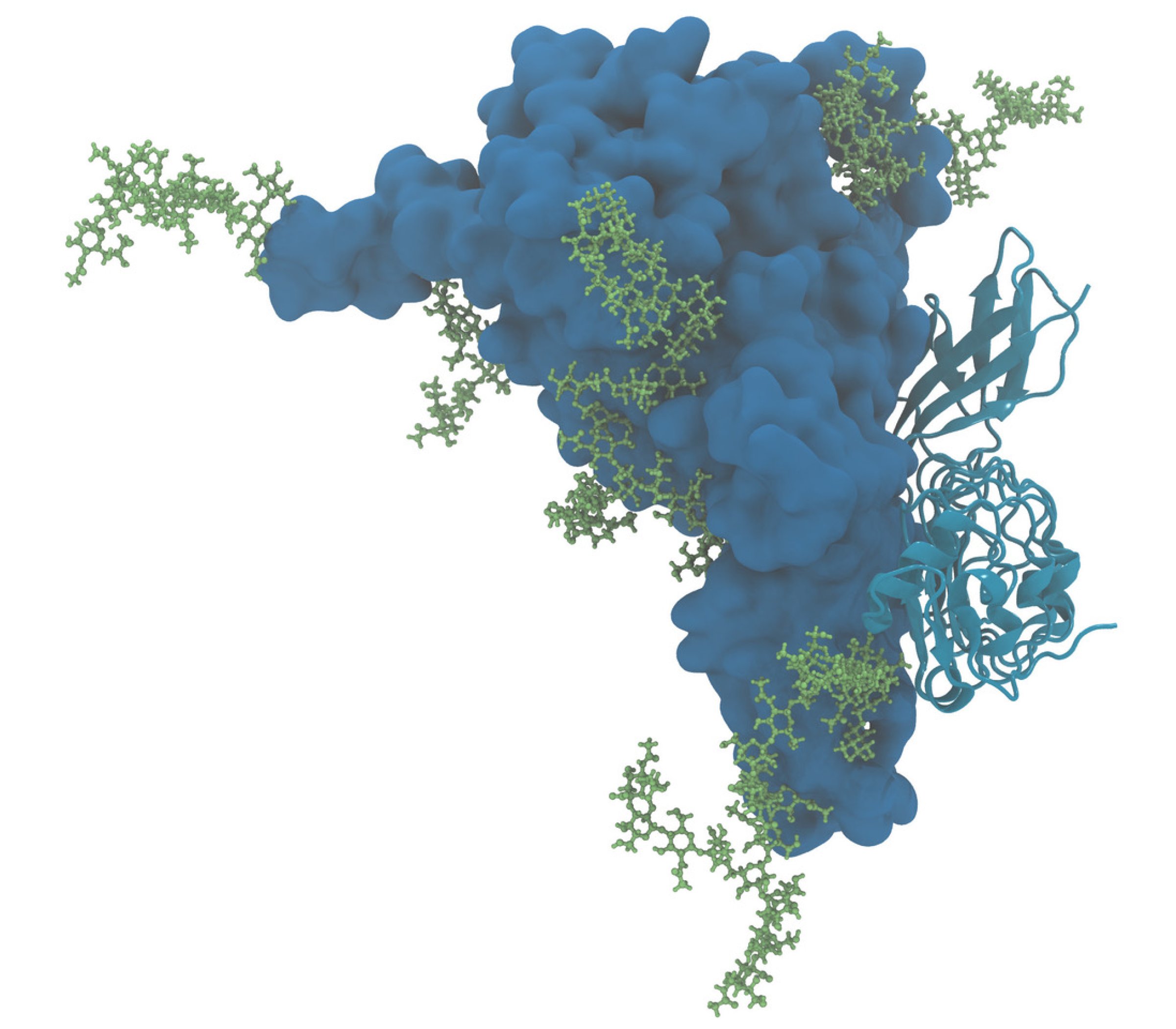 MET molecule (Arghittu)