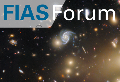 Forum Woerner Teaser