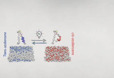 images_medium_ct5c01654_0010_sketch-banner images_medium_ct5c01654_0010_sketch-banner