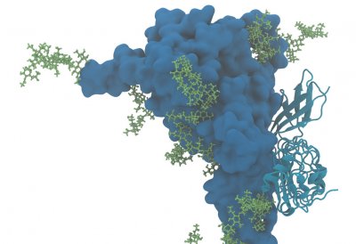 MET molecule (Arghittu)